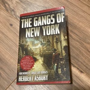 The Gangs of New York paperback book by Herbert Asbury